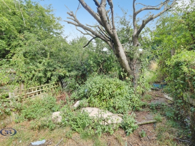 Picture 14